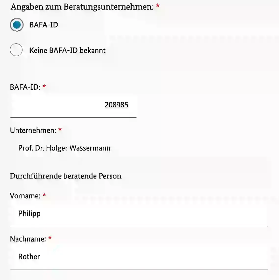 Formularschritt „Angaben zum Beratungsunternehmen“: ausgefüllte BAFA-ID, das Beratungsunternehmen und als durchführende beratende Person Philipp Rother.