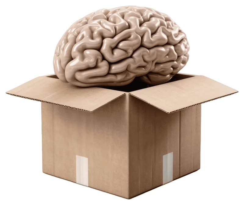 Brainbox KI